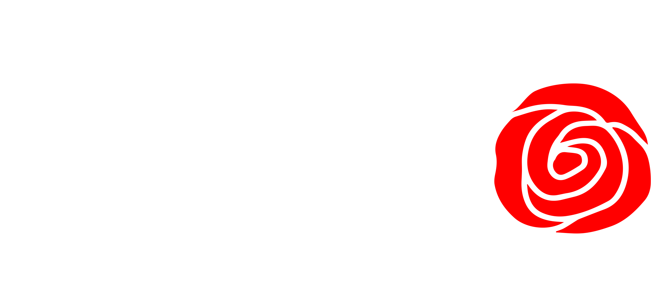 TORO